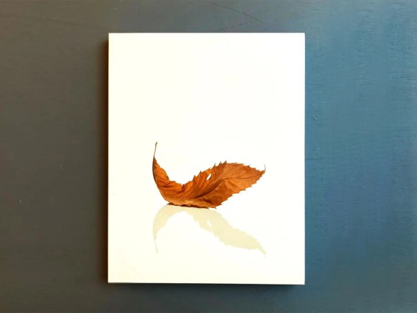 A white book cover featuring a single dried brown leaf with its shadow reflected below, placed on a dark blue surface.